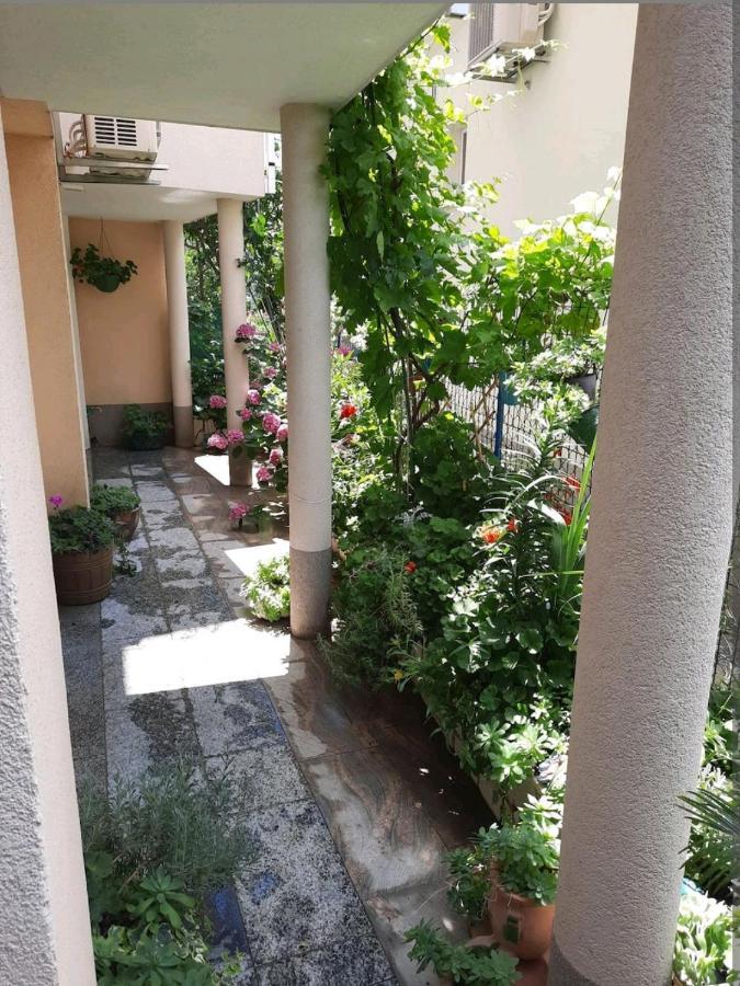 Vila Doris Hotel Baska Voda Exterior photo